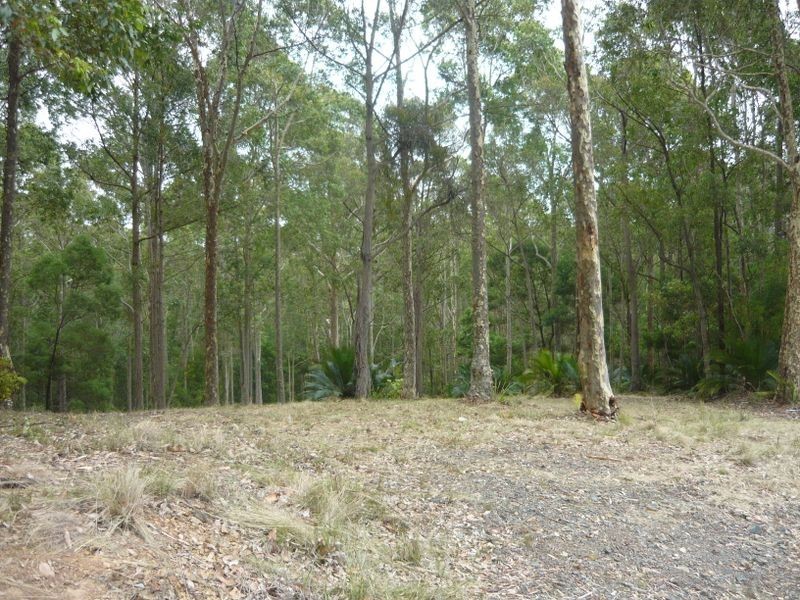 Lot 25 Wild Duck Lane, Narooma NSW 2546
