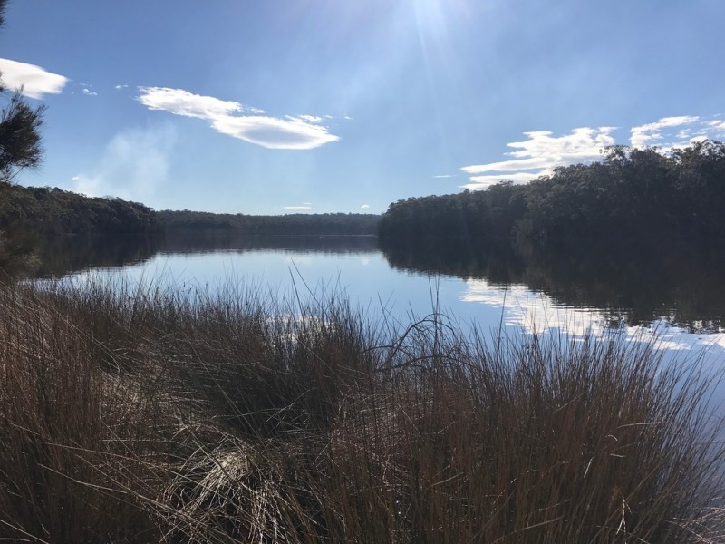 185 Brou Lake Road, Bodalla NSW 2545