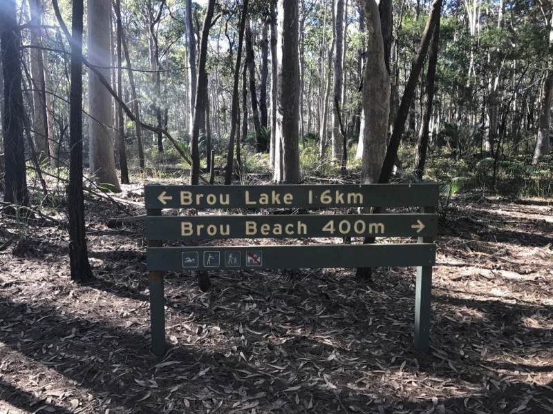 185 Brou Lake Road, Bodalla NSW 2545