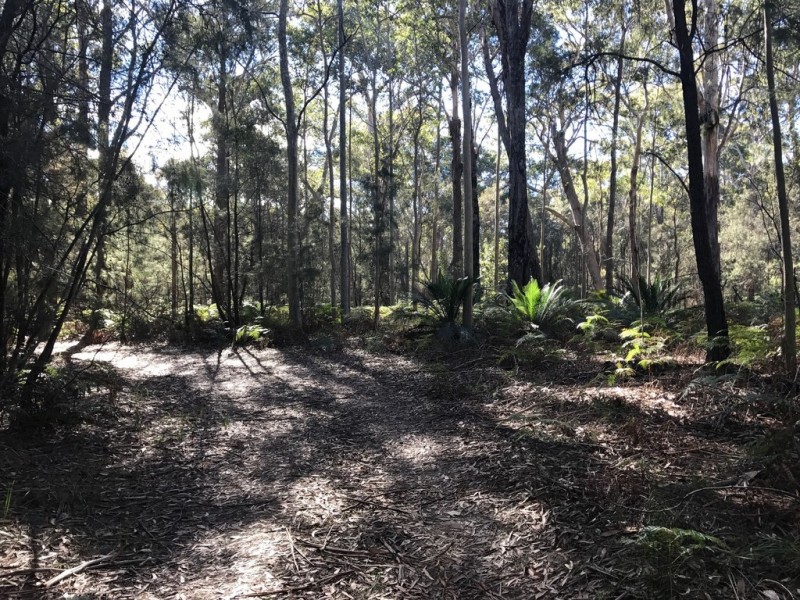 185 Brou Lake Road, Bodalla NSW 2545