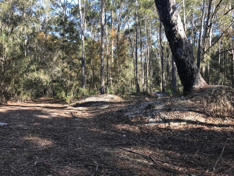 185 Brou Lake Road, Bodalla NSW 2545