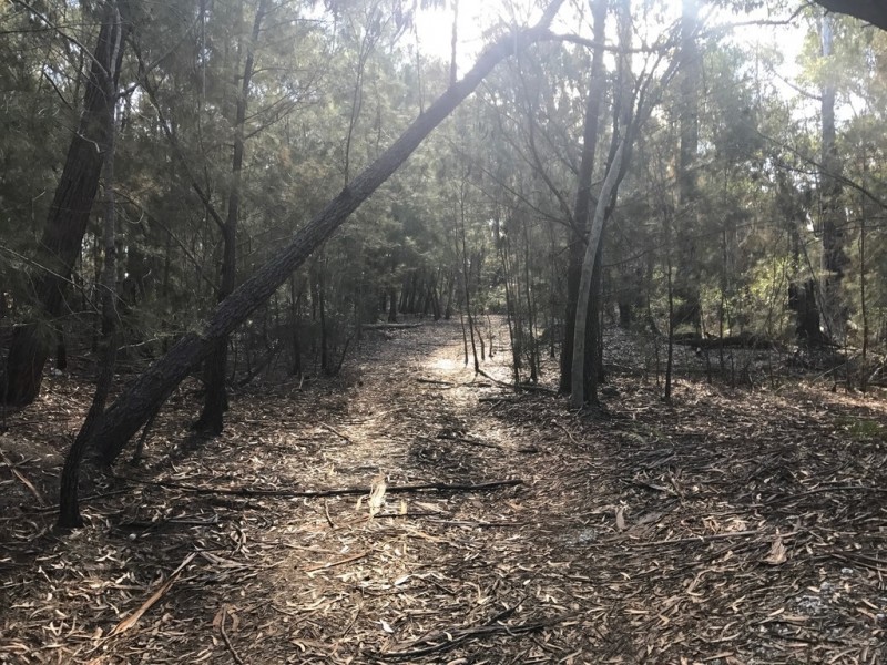 185 Brou Lake Road, Bodalla NSW 2545