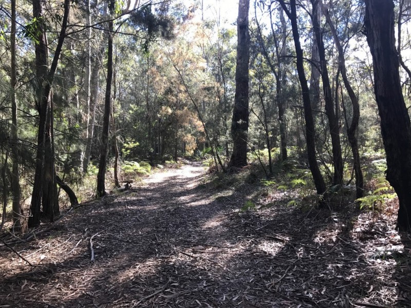 185 Brou Lake Road, Bodalla NSW 2545