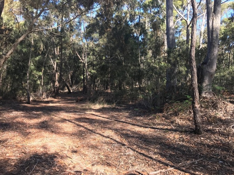 185 Brou Lake Road, Bodalla NSW 2545