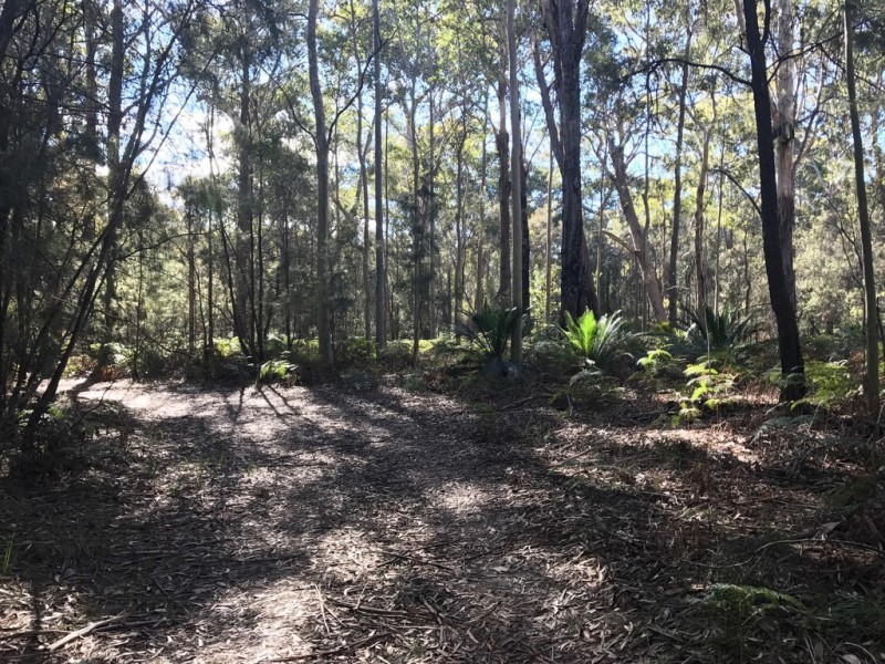 185 Brou Lake Road, Bodalla NSW 2545