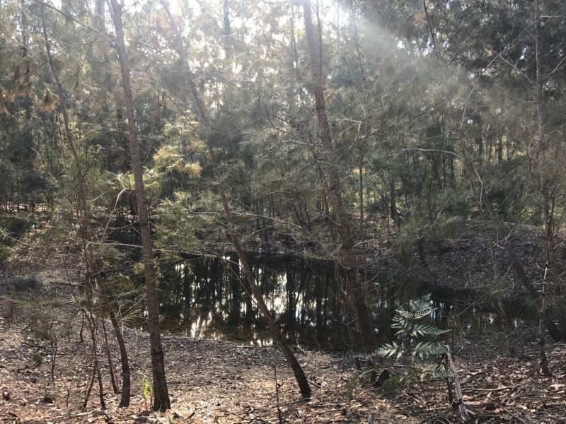 185 Brou Lake Road, Bodalla NSW 2545