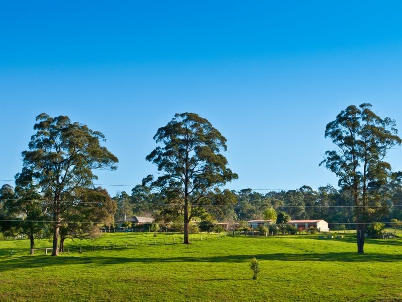 272 Riverview Road, Akolele NSW 2546