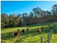 272 Riverview Road, Akolele NSW 2546