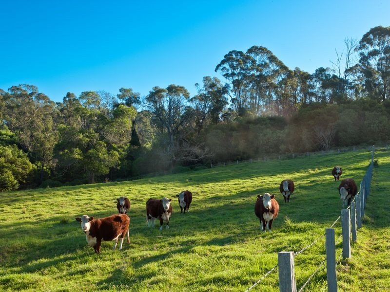 272 Riverview Road, Akolele NSW 2546
