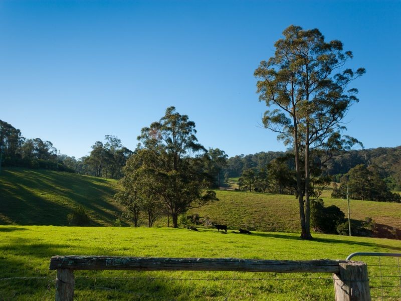 272 Riverview Road, Akolele NSW 2546