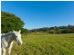 272 Riverview Road, Akolele NSW 2546