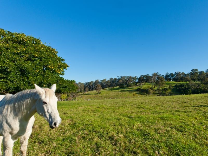 272 Riverview Road, Akolele NSW 2546