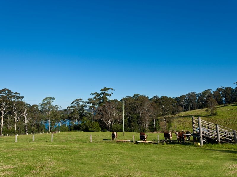272 Riverview Road, Akolele NSW 2546
