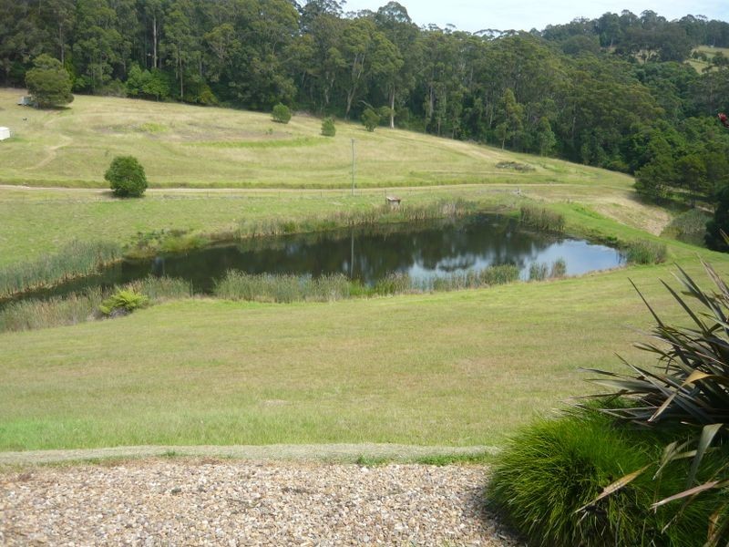 24 Tebbs Road, Narooma NSW 2546