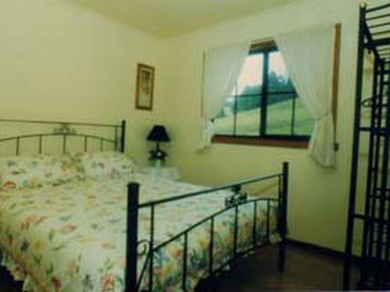 326 Ridge Road, Central Tilba NSW 2546