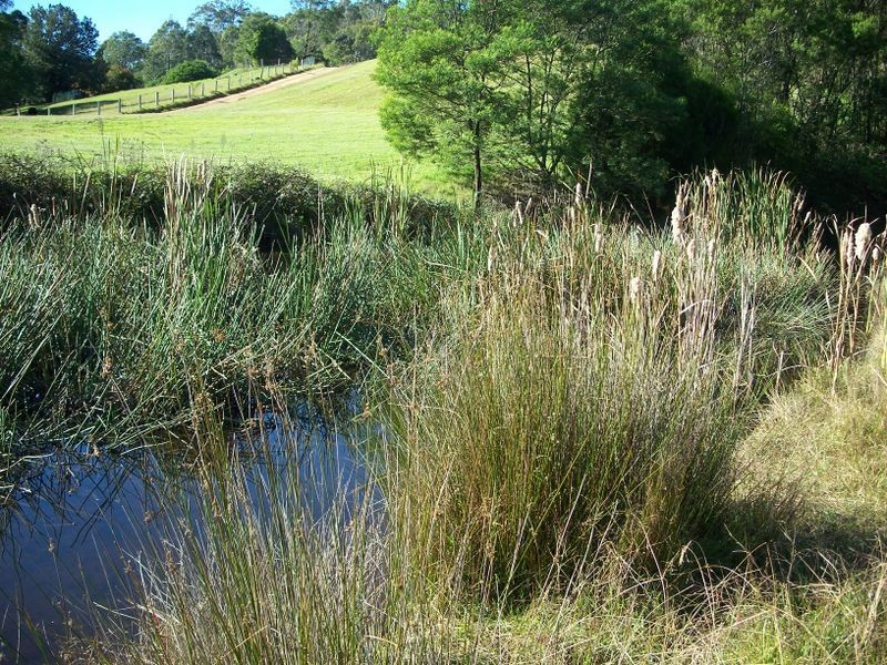 326 Ridge Road, Central Tilba NSW 2546