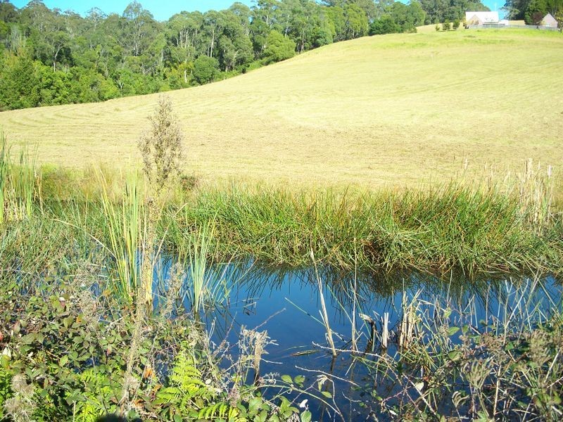 326 Ridge Road, Central Tilba NSW 2546