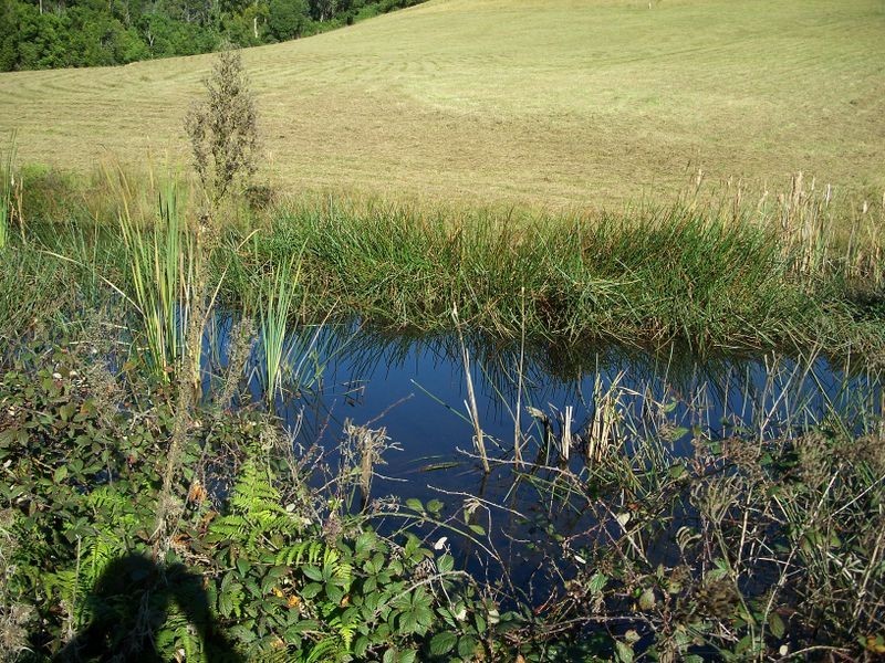 326 Ridge Road, Central Tilba NSW 2546