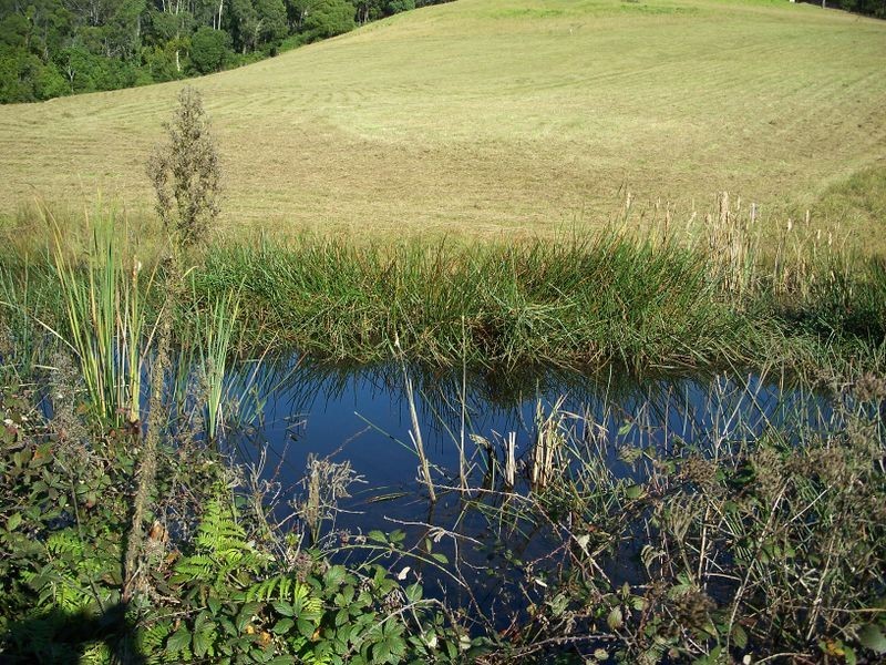 326 Ridge Road, Central Tilba NSW 2546