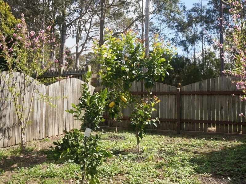 1A Mort Avenue, Dalmeny NSW 2546