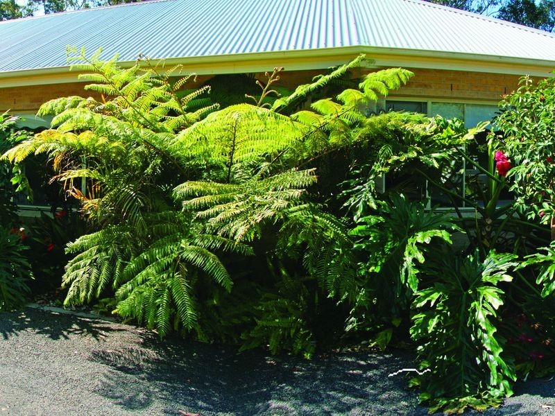 13-15 Glasshouse Rocks Road, Narooma NSW 2546