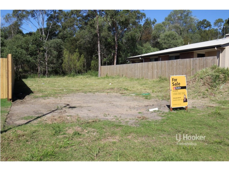 20 John Storey Court, Park Ridge QLD 4125