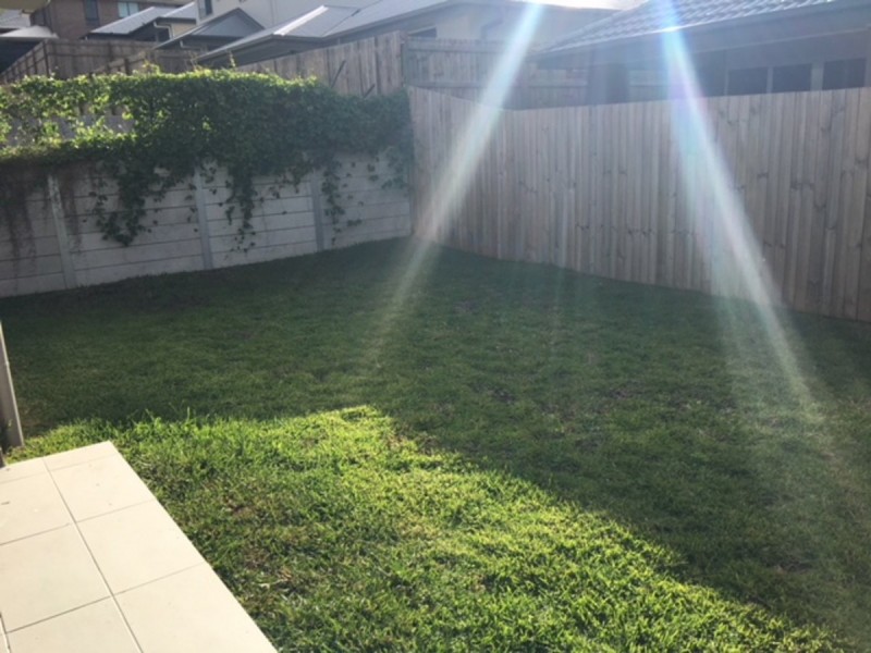 11 Beaufort Crescent, Ormeau Hills QLD 4208