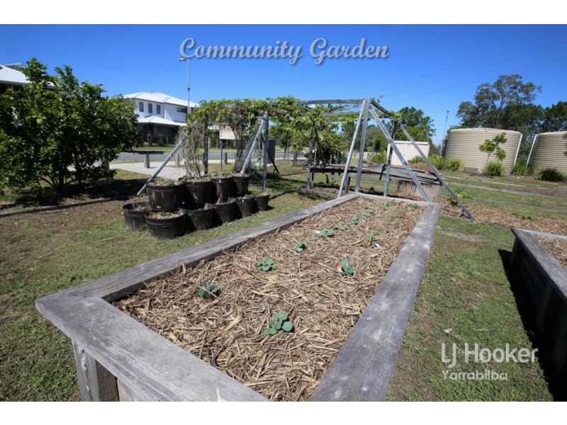 11 Lowthers Street, Yarrabilba QLD 4207