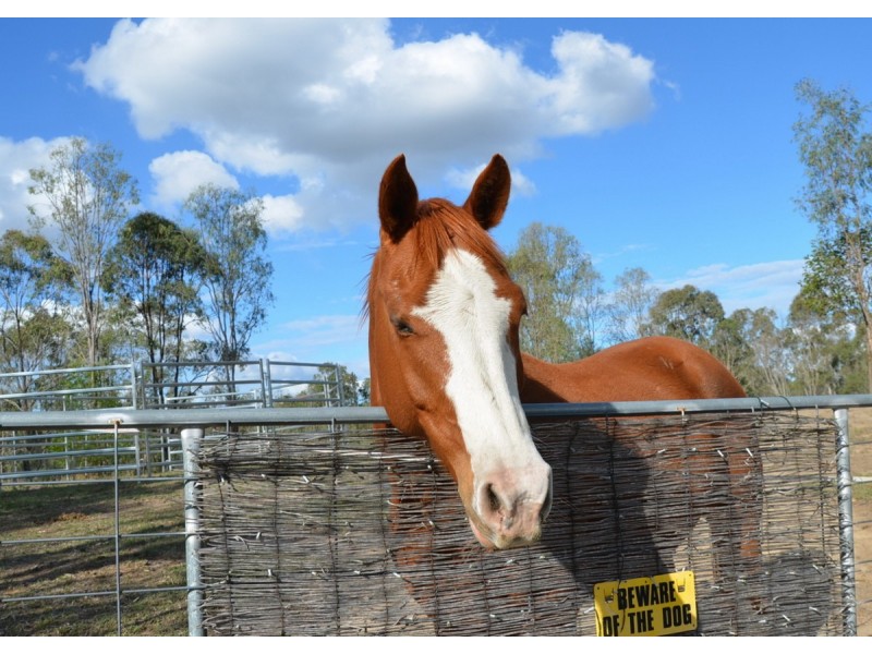 Lot 2/173-187 Stephens Place, Kooralbyn QLD 4285