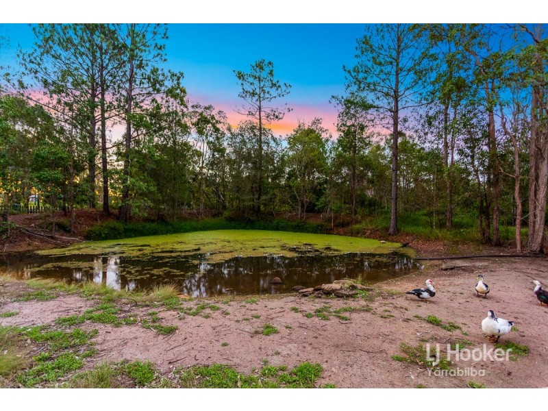 419 Steele Road, Logan Village QLD 4207
