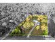 419 Steele Road, Logan Village QLD 4207