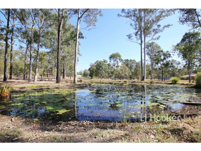 64 Maranoa Drive, Logan Village QLD 4207