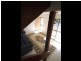 16/1-9 Yulgibar Close, Kooralbyn QLD 4285