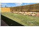 9 Verdi Street, Yarrabilba QLD 4207