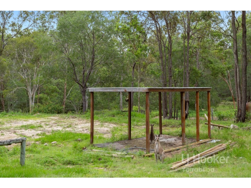 171 Virginia Way, Logan Village QLD 4207