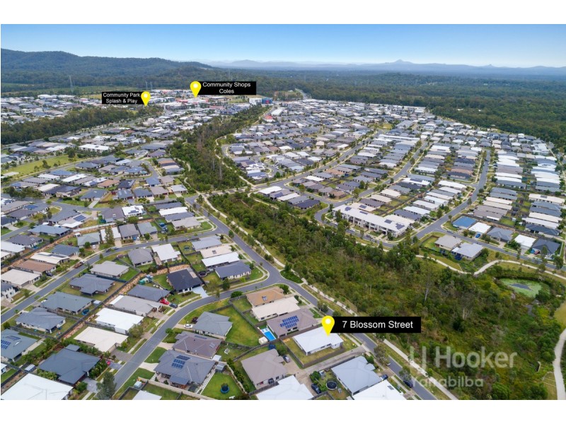 7 Blossom Street, Yarrabilba QLD 4207