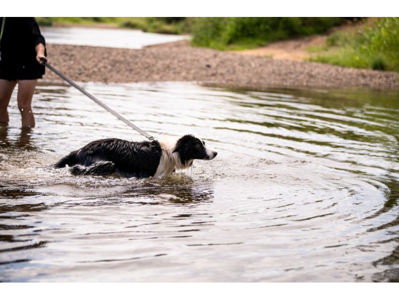 11 Banks Creek Road, Fernvale QLD 4306