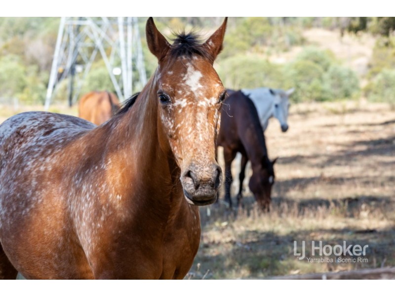 149-165 Rose Farm Lane, Logan Village QLD 4207