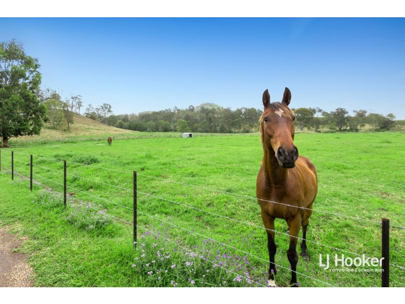 523 Kooralbyn Road, Laravale QLD 4285
