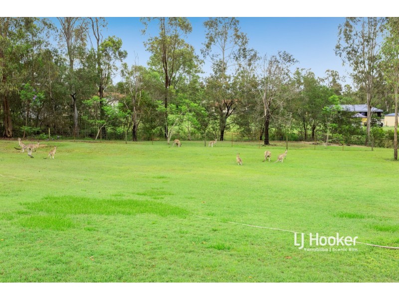 15 Melaleuca Court, Jimboomba QLD 4280