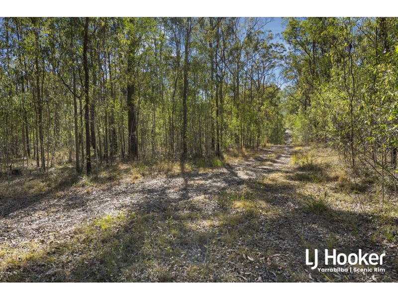 803-843 Quinzeh Creek Road, Cedar Creek QLD 4207