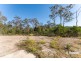 25 Niles Court, Bahrs Scrub QLD 4207