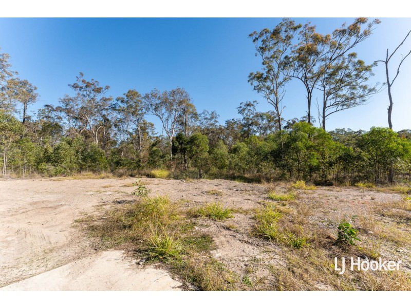 25 Niles Court, Bahrs Scrub QLD 4207