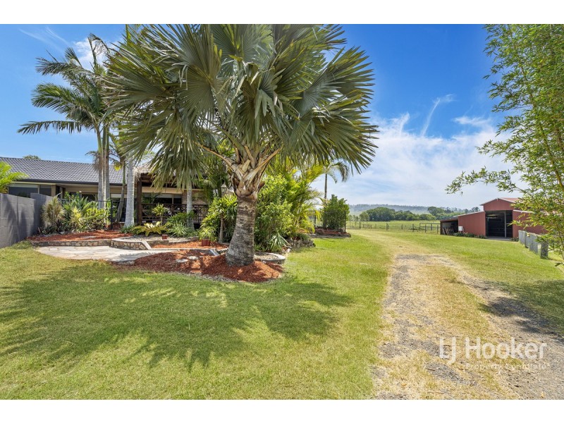 196 Biddaddaba Road, Boyland QLD 4275