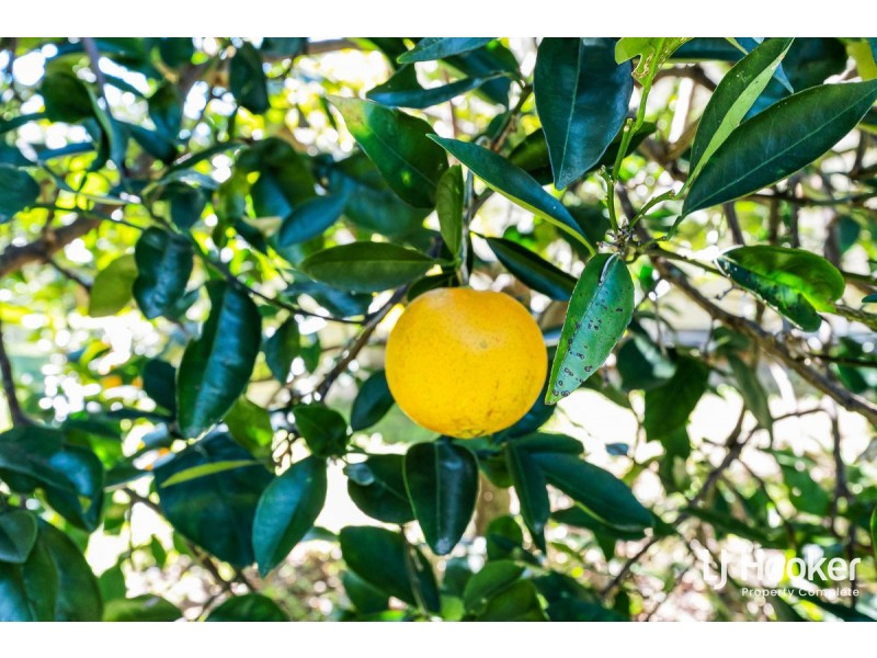 111-113 Blue Heeler Drive, New Beith QLD 4124