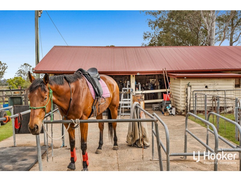 1504 Chambers Flat Road, Chambers Flat QLD 4133