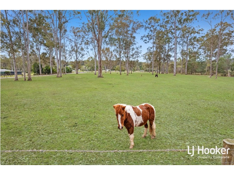 383-391 Quinzeh Creek Road, Logan Village QLD 4207