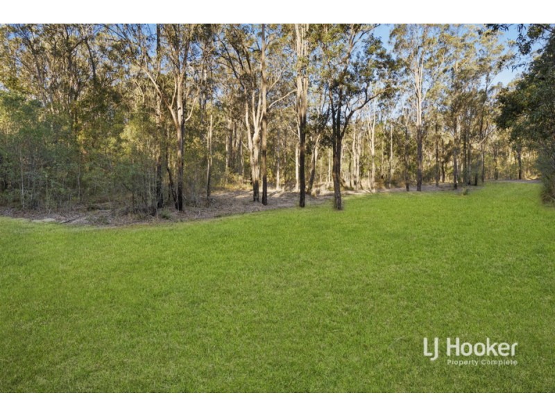 803-843 Quinzeh Creek Road, Cedar Creek QLD 4207