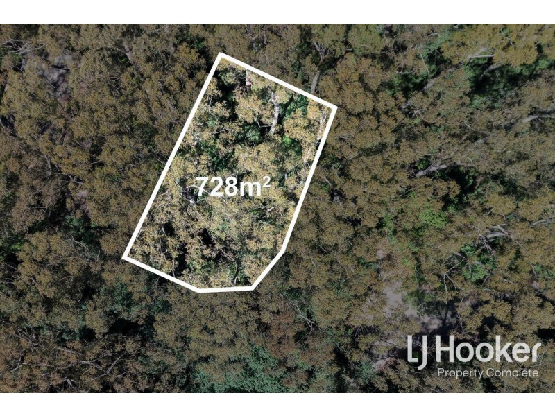 1 Wattle Grove, Springbrook QLD 4213