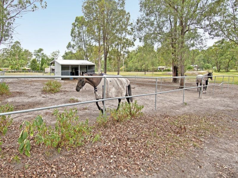 15 Luke Road, Buccan QLD 4207